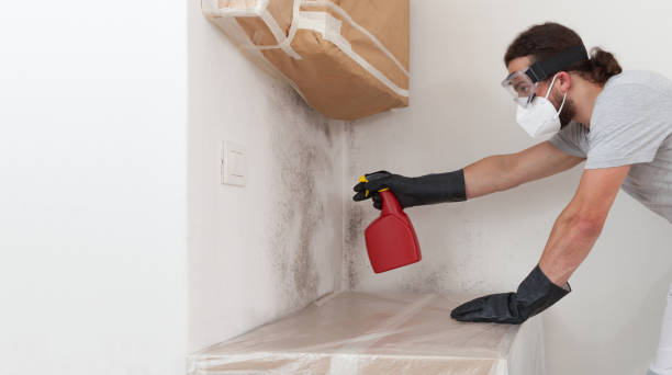 Professional Bathroom Mold Removal technician working in Arcadia, MI